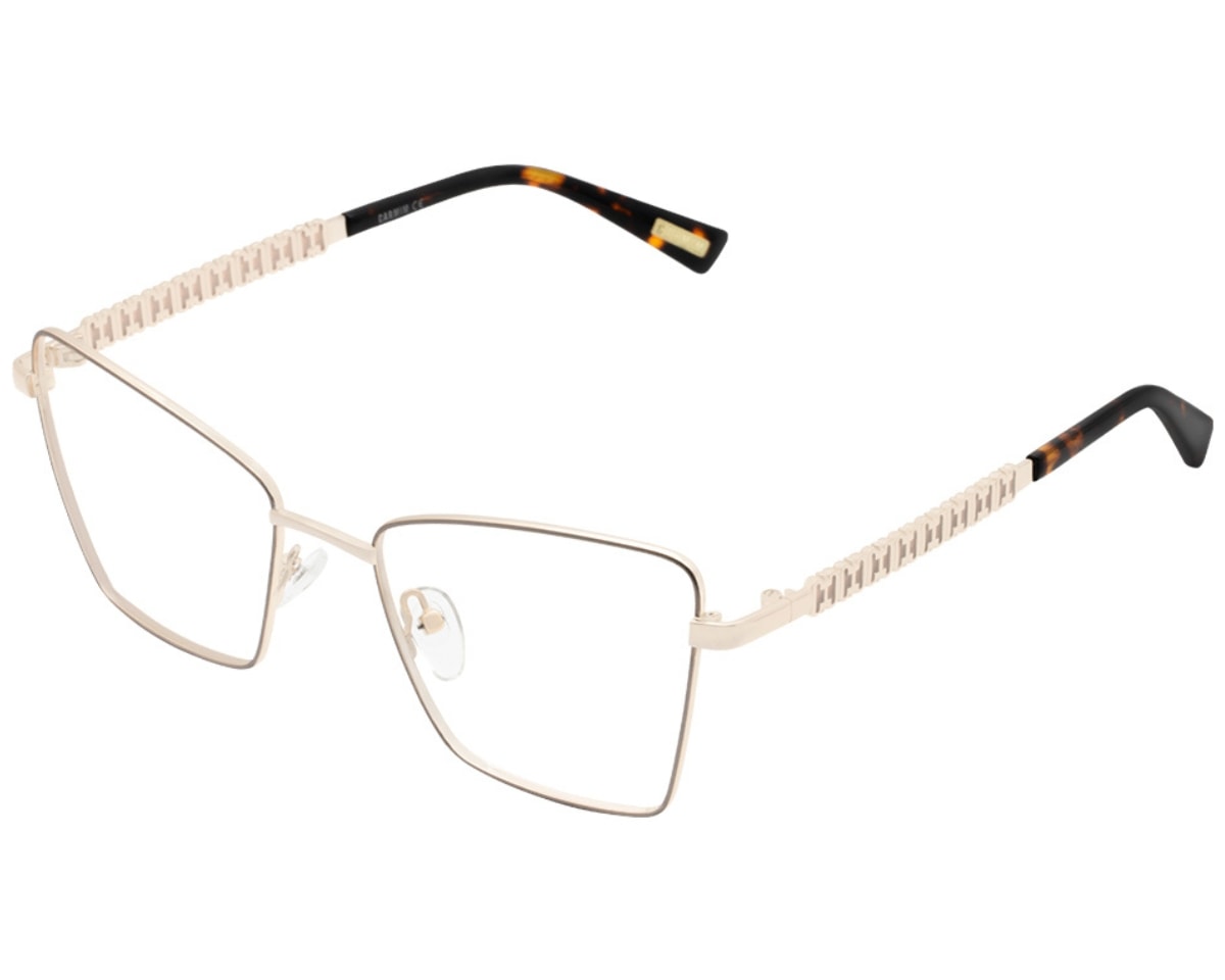 Óculos de Grau Carmim Prata CRM41034 C1-53