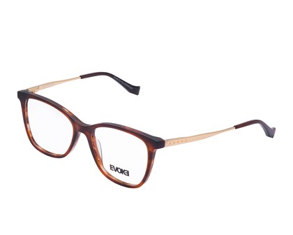 Óculos de Grau Evoke For You DX20N G21 -52