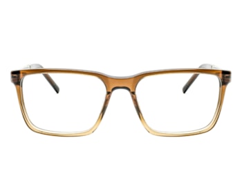 Óculos de Grau F. Sinclair Marrom Translúcido MB23003 C3-53