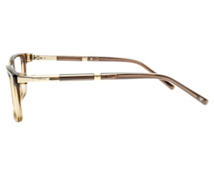 Óculos de Grau F. Sinclair Marrom Translúcido MB23003 C3-53