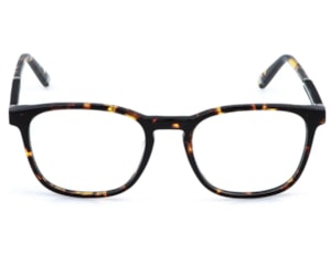 Óculos de Grau Fila Spin Around Havana VFIA96 Z62Y-53