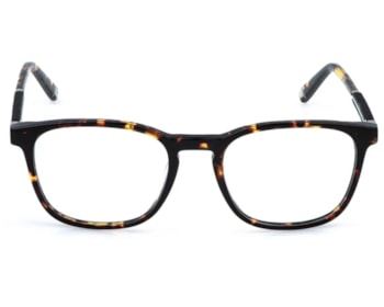Óculos de Grau Fila Spin Around Havana VFIA96 Z62Y-53
