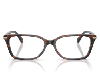 Óculos de Grau Michael Kors Chennai Havana MK4196U 4039-54