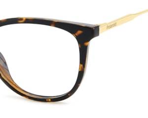 Óculos de Grau Polaroid Havana PLDD564 086-55