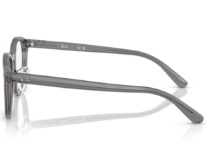 Óculos de Grau Ray Ban Core Cinza RX5443D 8268-49