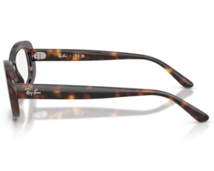 Óculos de Grau Ray Ban Evolution Havana RX2221V 2012-53