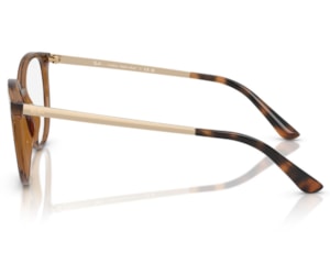 Óculos de Grau Ray Ban Havana RX7246L 2012-53