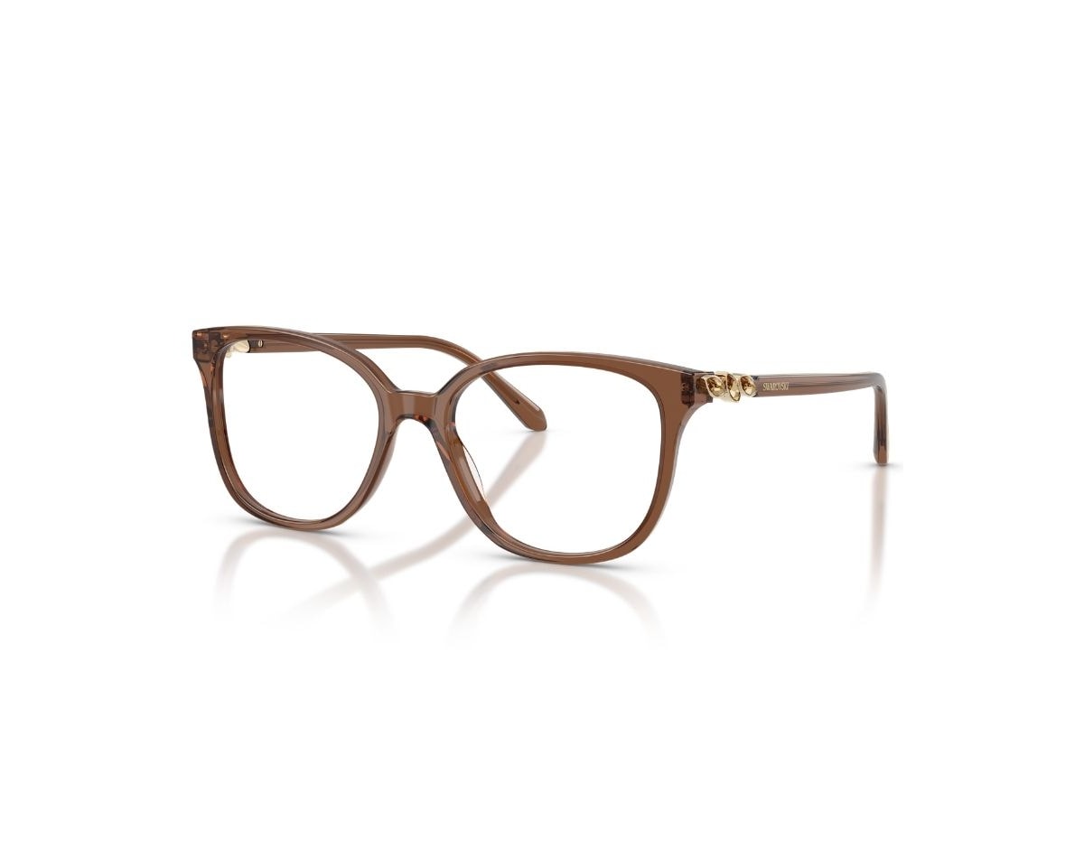 Óculos de Grau Swarovski Science of Elegance Marrom SK2069 1067-53