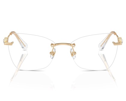 Óculos de Grau Swarovski SK1014 4013-55