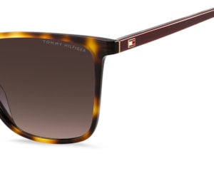 Óculos de Grau Tommy Hilfiger Marrom Havana TH 2292/S 05L-55 
