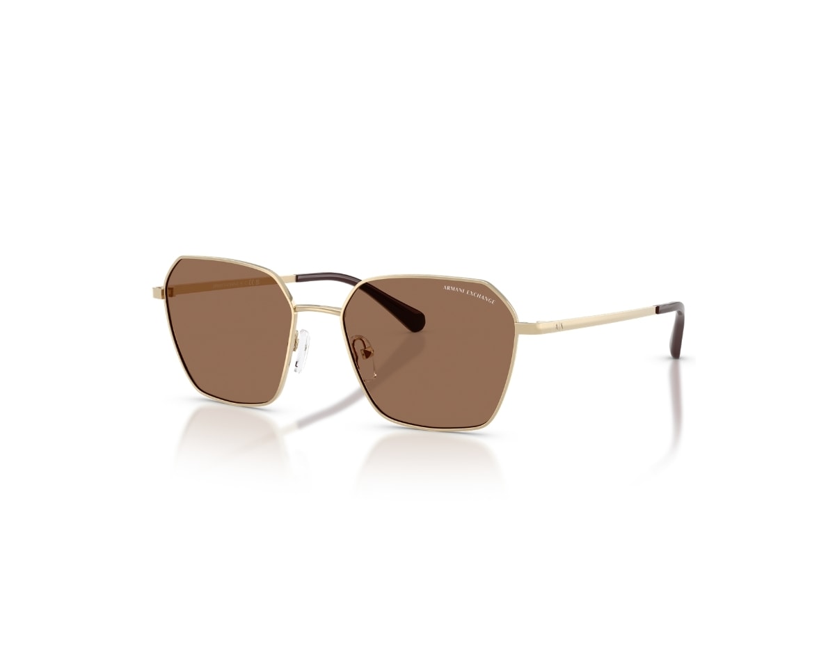 Óculos de Sol Armani Exchange Dourado Marrom AX2062S 611013-54