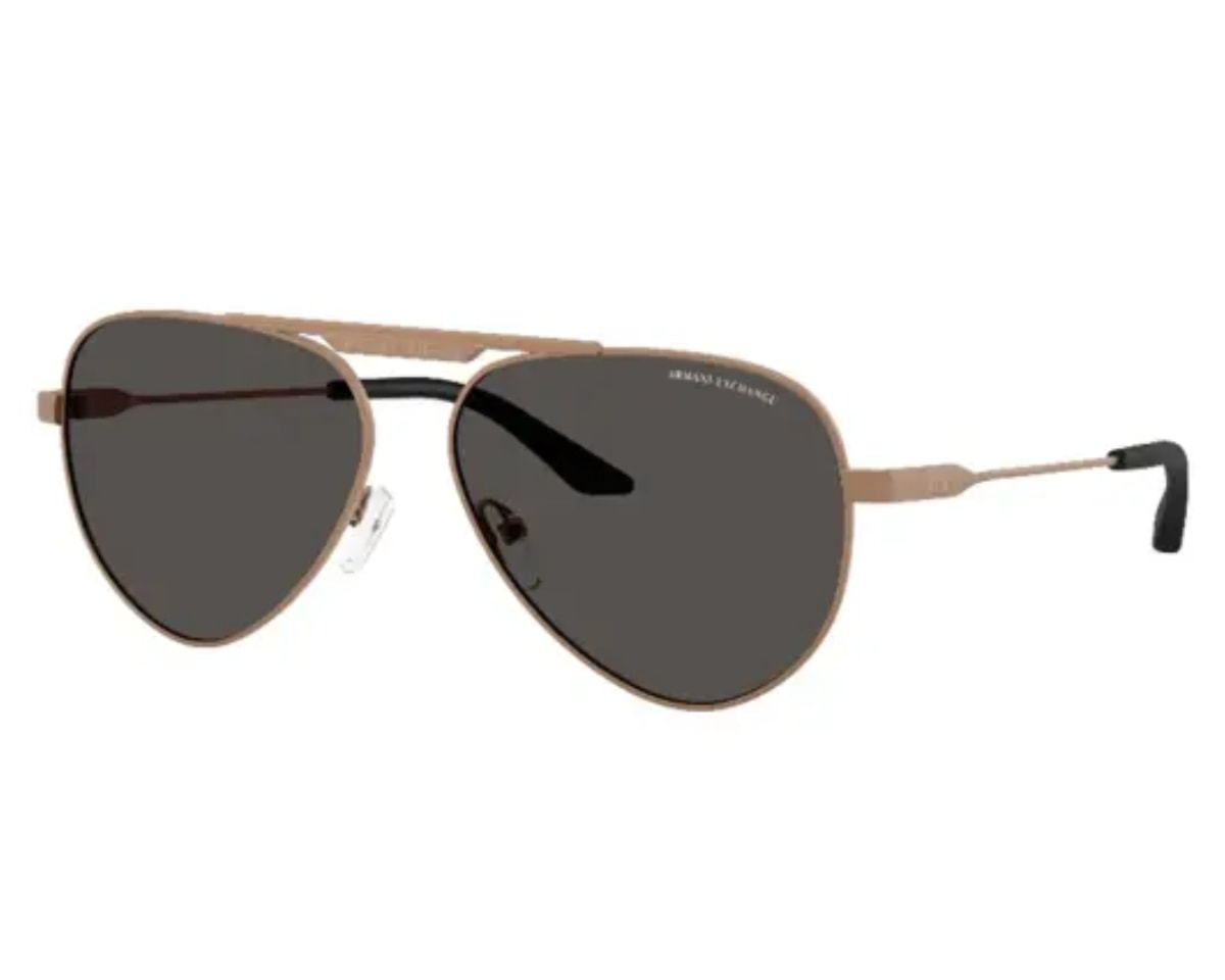 Óculos de Sol Armani Exchange Marrom AX2060S 610687-58 - Officina 7