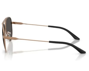 Óculos de Sol Armani Exchange Marrom AX2060S 610687-58