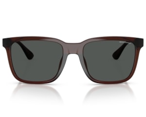 Óculos de Sol Armani Exchange Marrom AX4112SU 835887-55