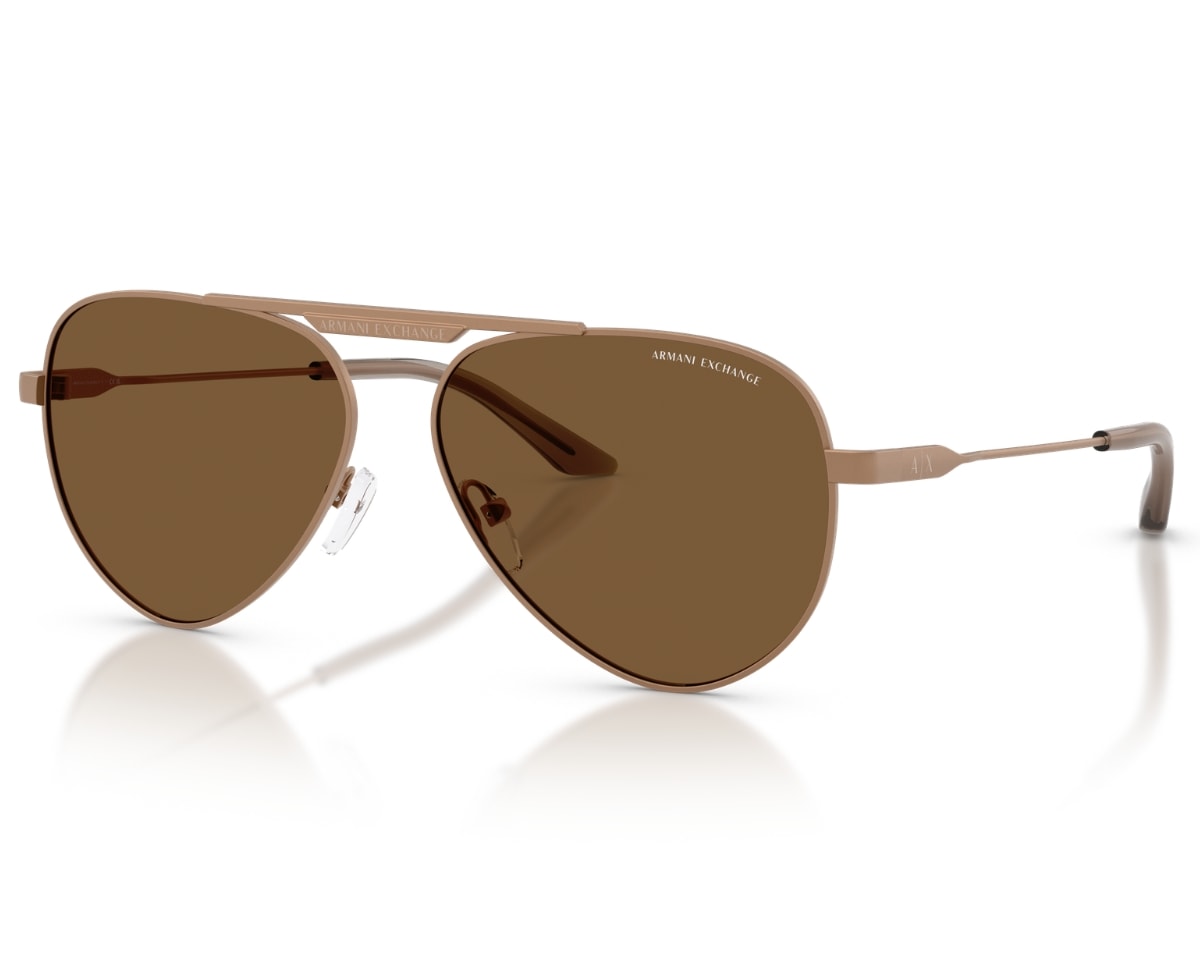 Óculos de Sol Armani Exchange Marrom Fosco AX2060S 611473-58