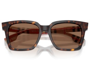 Óculos de Sol Burberry Maple Havana BE4335 390373-53