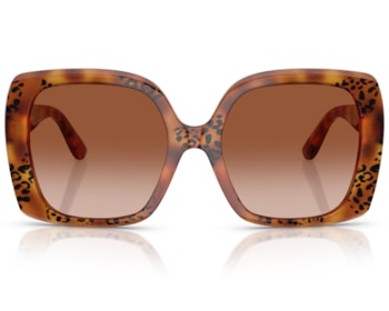 Óculos de Sol Dolce & Gabbana Dna Havana DG4475 338013-56