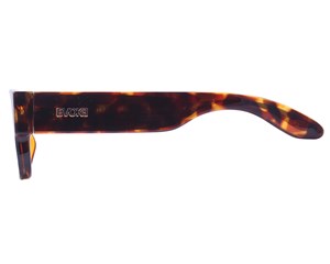Óculos de Sol Evoke Lodown G21