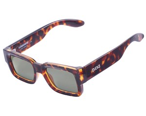 Óculos de Sol Evoke Lodown G21