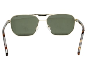 Óculos de Sol F. Sinclair Dourado Verde YD1489T C2-57