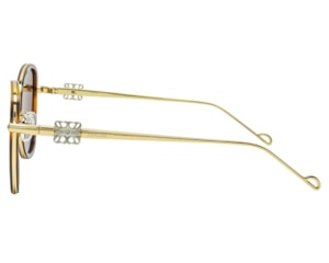 Óculos de Sol F. Sinclair Havana Poalrizado MB1515 C6-54