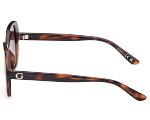 Óculos de Sol Guess Havana Escuro GU8292 52F-52