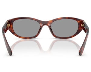 Óculos de Sol Miu Miu Havana MUA03S 21C40O-53