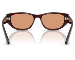 Óculos de Sol Ray Ban Bio Based Marrom RB4476L 14577-53