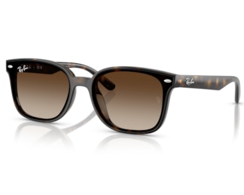 Óculos de Sol Ray Ban Core Havana RB4461D 71013-64