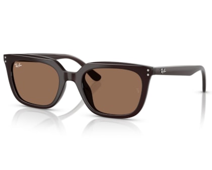 Óculos de Sol Ray Ban Core Marrom Opalino RB4439D 623173-54