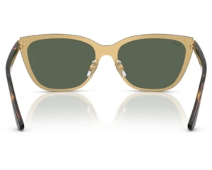Óculos de Sol Ray Ban Core Timeless Preto RB3798D 001/71-45
