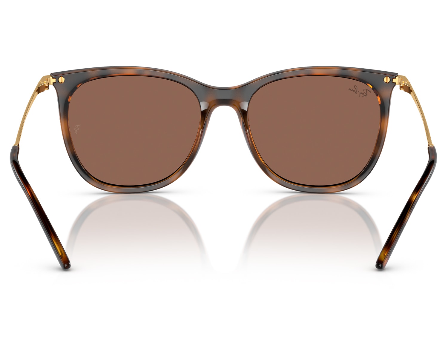 Ray ban dark havana clearance eyeglasses