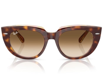 Óculos de Sol Ray Ban Doreen Havana Claro RB2286 141451-52
