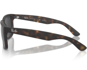 Óculos de Sol Ray ban Essentials Havana Polarizado  RB4165 86587-55