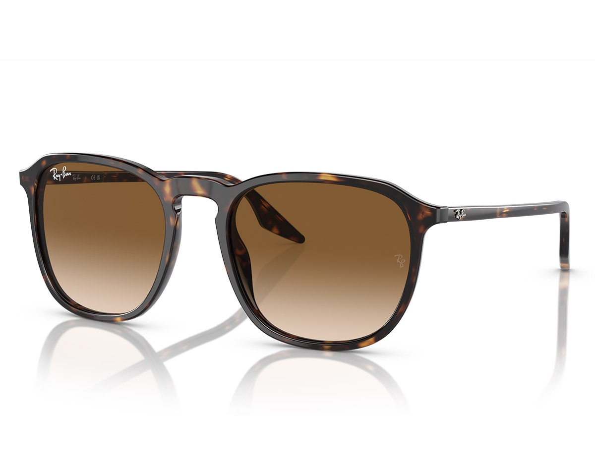 Ray ban havana store sunglasses