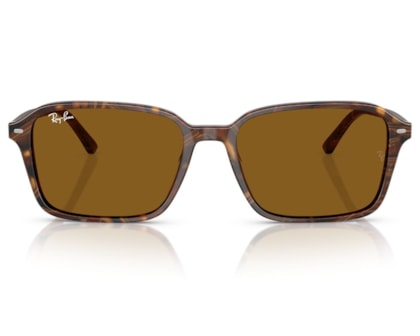 Óculos de Sol Ray Ban Raimond Marrom RB2231 141833-58