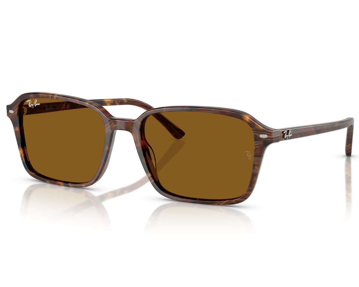 Óculos de Sol Ray Ban Raimond Marrom RB2231 141833-58 - Officina 7
