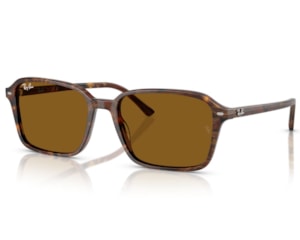 Óculos de Sol Ray Ban Raimond Marrom RB2231 141833-58