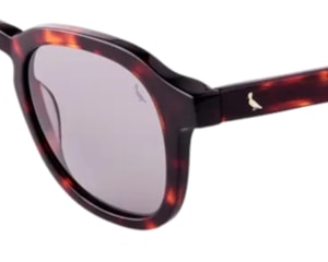 Óculos de Sol Reserva Marrom Tartaruga RSV6017S 213-49