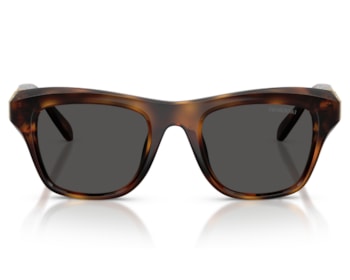 Óculos de Sol Swarovski Marrom Havana SK6056U 100287-50