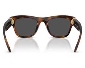 Óculos de Sol Swarovski Marrom Havana SK6056U 100287-50