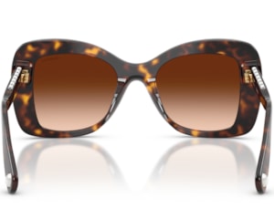 Óculos de Sol Swarovski Science of elegance Havana SK6062U 100274-51