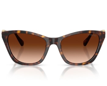 Óculos de Sol Swarovski Science of Elegance Havana SK6068U 100274-54