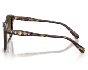 Óculos de Sol Swarovski Science Of Industry Havana SK6063 1002T5-54