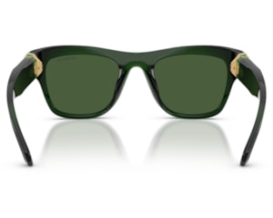 Óculos de Sol Swarovski Verde Translúcido SK6056U 108171-50