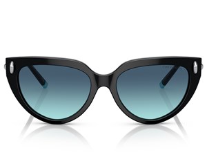 Óculos de Sol Tiffany & Co TF4195 80019S-54