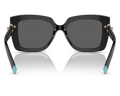 Óculos de Sol Tiffany & Co TF4199 8001S4-53