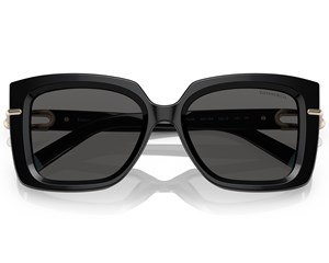 Óculos de Sol Tiffany & Co TF4199 8001S4-53